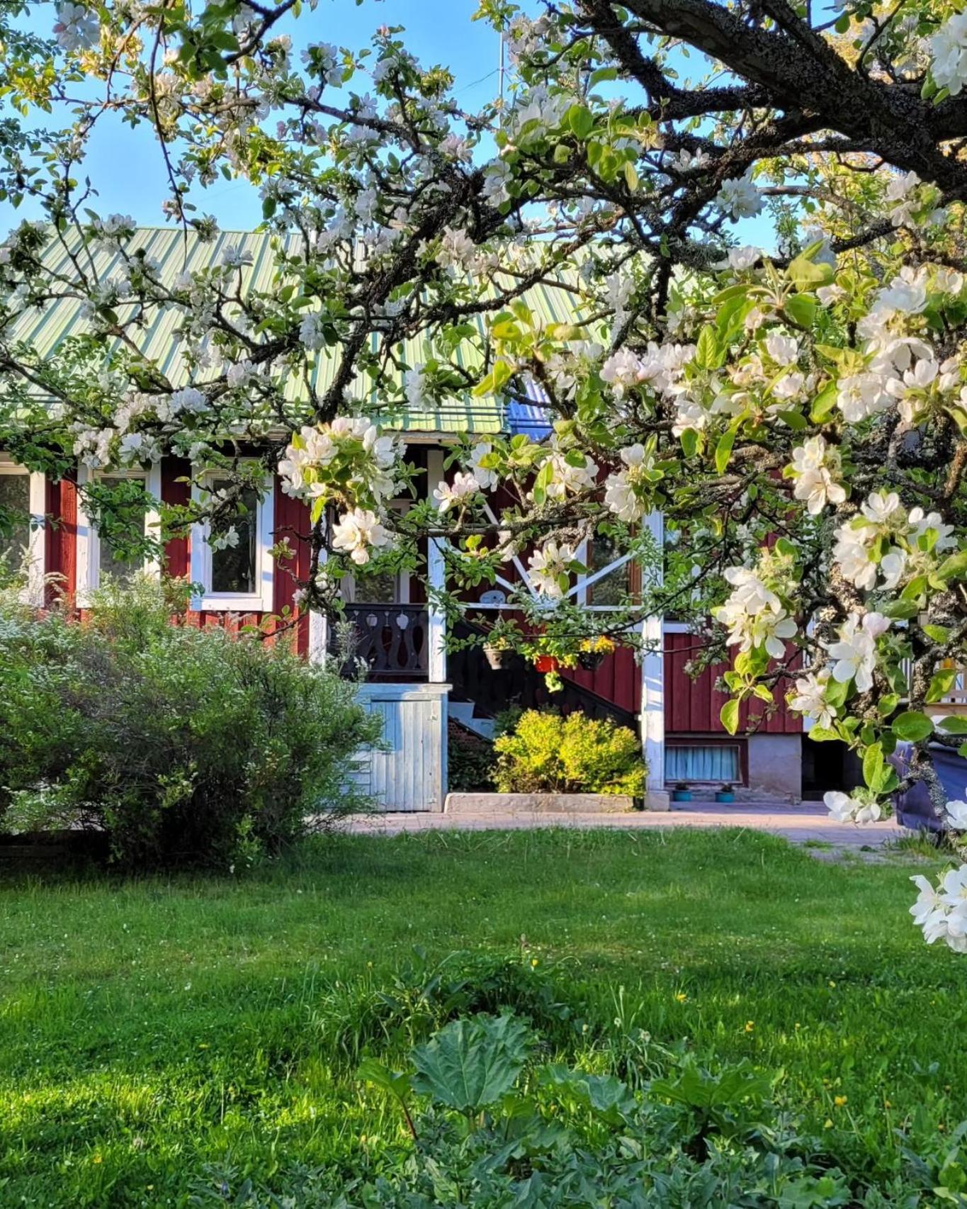 Solvillan Korpo Buitenkant foto